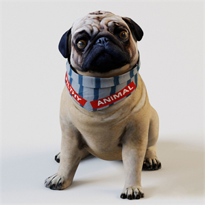 Modern animal pug 3d model